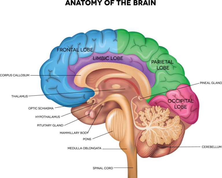 Rare Brain Tumors in Kids - Solving Kids' Cancer