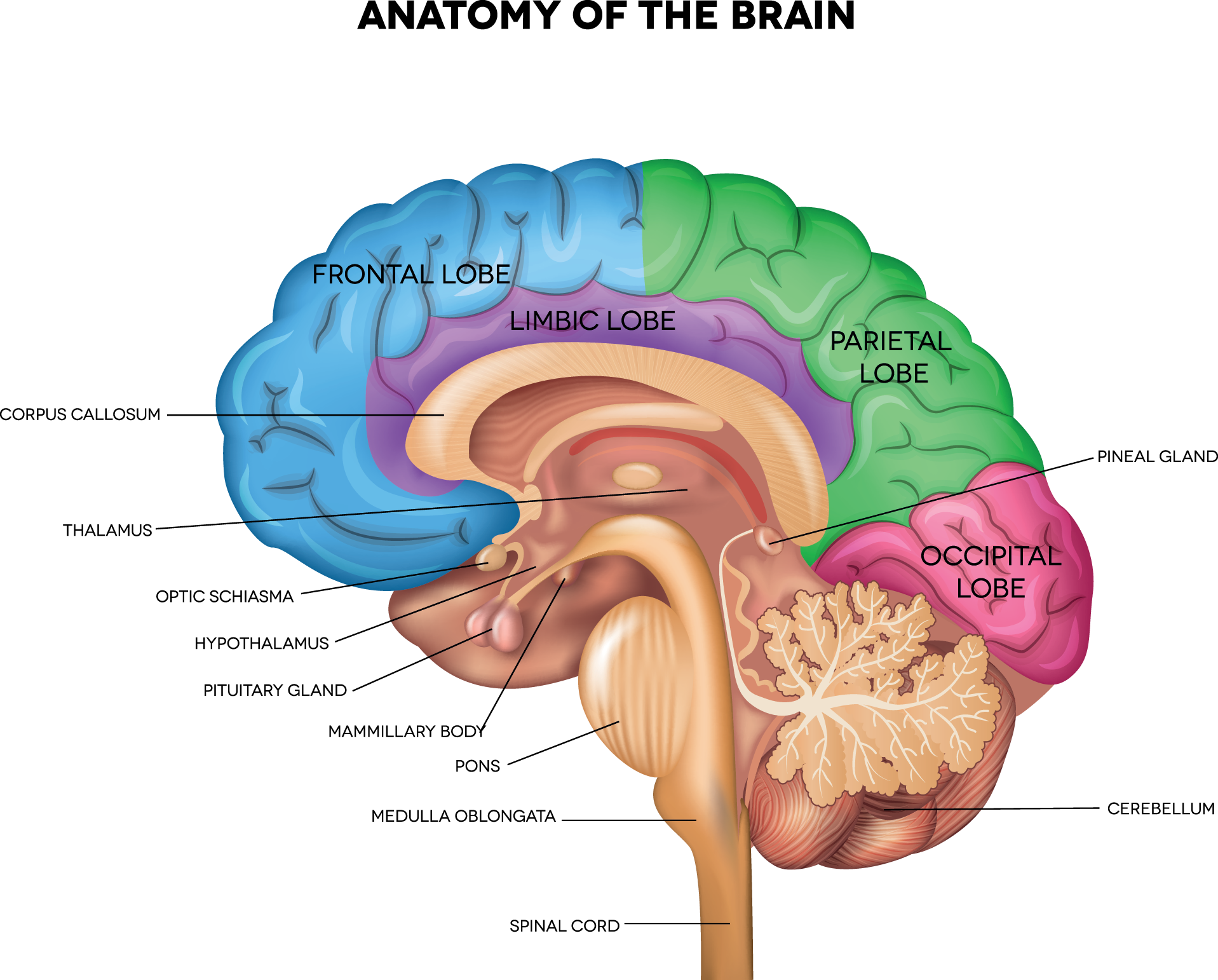 rare-brain-tumors-in-kids-solving-kids-cancer