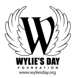 Wylies-Day-Foundation-293x300