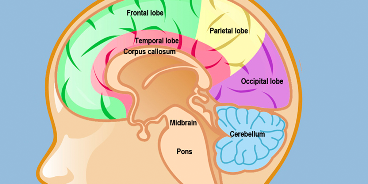 comparing-atrt-dipg-and-etmr-pediatric-brain-tumors-solving-kids-cancer